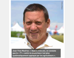 Question d'actu : Comment intervenir en 2019 contre la septoriose ?