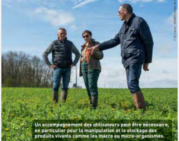 Biocontrôle en grandes cultures : encore peu de solutions mais de nombreux espoirs
