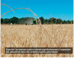 Gestion des adventices : récolter les menues pailles a bien un intérêt à long terme