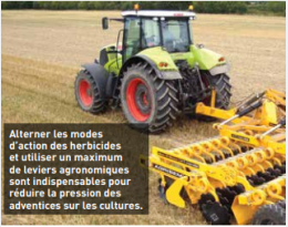 Résistance aux herbicides : Une attention de tous les instants