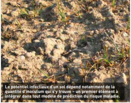 Prédire le risque à la parcelle
