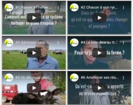 vidéos adage 35