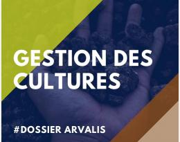 gestion culture