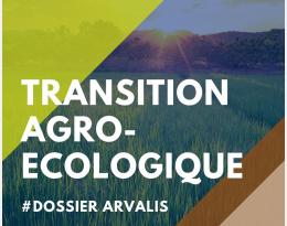 transition