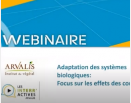 Webinaire Arvalis : Mise en place de couverts en agriculture biologique