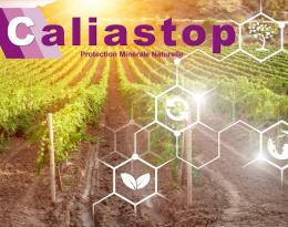 caliastop