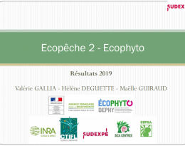 Résultats_SUDEXPE_Ecopeche_2019_Hélène