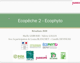 Résultats_SUDEXPE_Ecopeche_2020