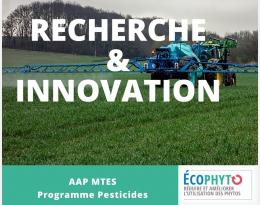 Projet ECOVERGER 