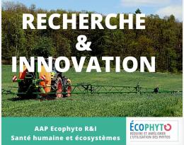 Projet GEO-K-PHYTO