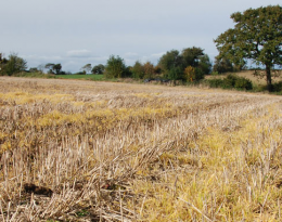 SOUS QUELLES CONDITIONS PEUT-ON ENCORE AVOIR RECOURS AU GLYPHOSATE ?