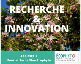 Projet SCEP-DEPHY