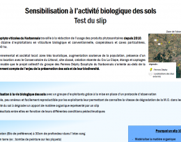 vie biologique