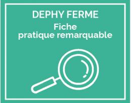 Suppression du glyphosate en interculture via l’implantation de couverts entre 2 céréales, en technique sans labour.