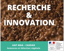 Projet ChaBAbri