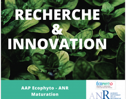 Projet STREPTOCONTROL