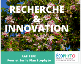 Projet AttractMyFly