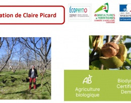 Vignette du document : Claire PICARD au milieu de ses Noyers en Biodynamie