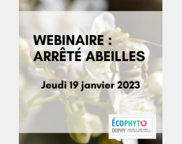 Webinaire DEPHY "Arrêté abeilles"