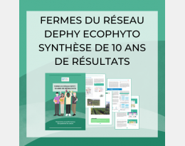 Synthèse DEPHY FERME : 10 ans de résultats du réseau