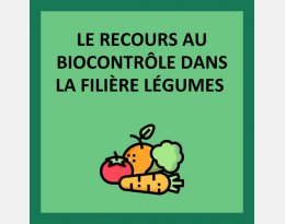 Le recours au biocontrôle dans la filière légumes