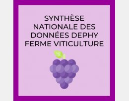 Synthèse nationale des données DEPHY FERME Viticulture