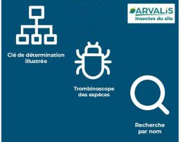 arvalis insectes du silo