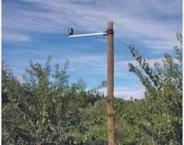 Biodiversité fonctionnelle en arboriculture : reconnaissance automatisée des oiseaux et des mammifères pour le suivi de la biodiversité des exploitations agricoles