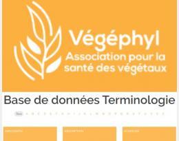 base terminologie