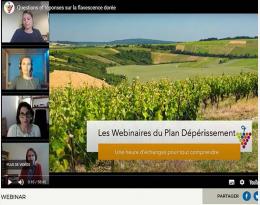 webinaire FD