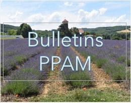 bsv_bulletins_ppam_paca