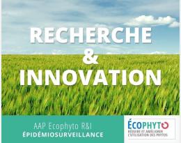 Projet Impact