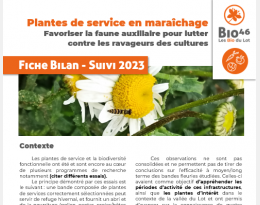 Bandes de service en maraîchage : Résultats 2023