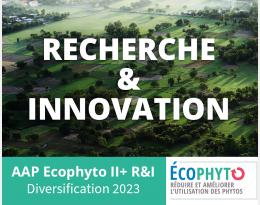 Appel à projets de recherche innovation - Diversification