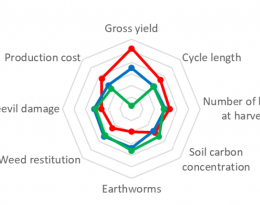 Multidisciplinary assessment of two organic banana production systems in Martinique.pdf