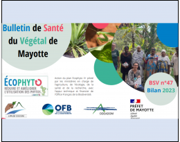 bilan mayotte bsv 2023