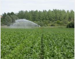 l'irrigation pour lutter contre le stress hydrique