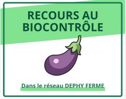 Recours au biocontrôle - Aubergine - DEPHY