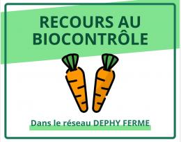 Recours au biocontrôle - Carotte - DEPHY