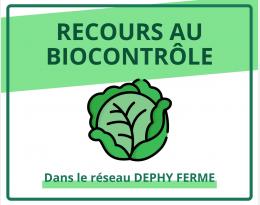 Recours au biocontrôle - Choux - DEPHY