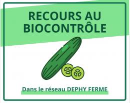 Recours au biocontrôle - Concombre - DEPHY