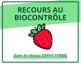 Recours au biocontrôle - Fraisier - DEPHY