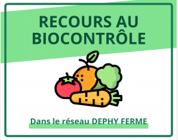 Synthèse DEPHY FERME légume - biocontrôle - 2023