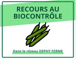 Recours au biocontrôle - Haricot - DEPHY