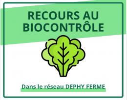 Recours au biocontrôle - Laitue - DEPHY