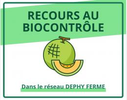 Recours au biocontrôle - Melon - DEPHY