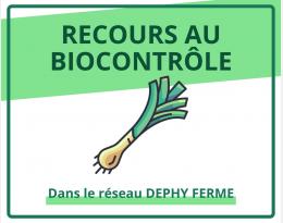 Recours au biocontrôle - Poireaux - DEPHY