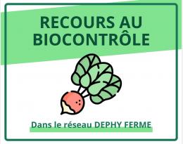 Recours au biocontrôle - Radis - DEPHY