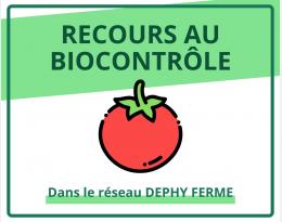 Recours au biocontrôle - Tomate - DEPHY