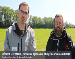 Force des collectifs : DEPHY Bessin